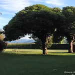 L'estancat