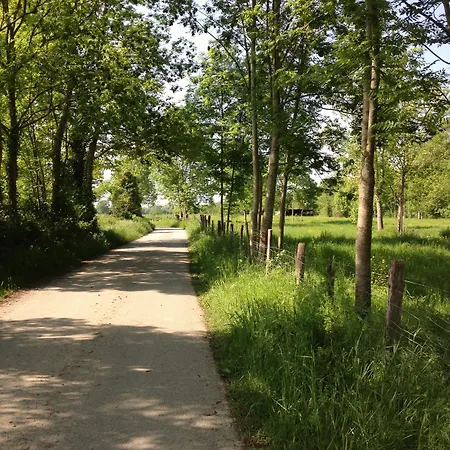 ベッド・アンド・ブレックファスト L'estancat Pardies-Piétat