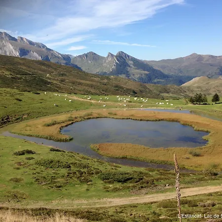 ベッド・アンド・ブレックファスト L'estancat Pardies-Piétat